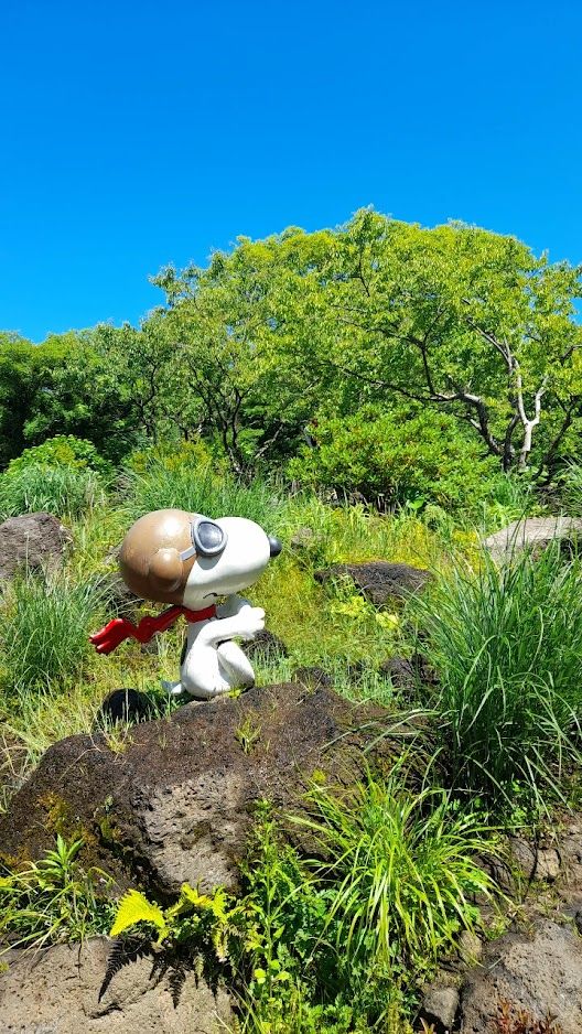 Snoopy Island BTS